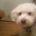 Find Saundra A Boyd Phone Number, Location, Email, and more on Intelius