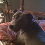 Find Scott Edward Freeman Phone Number, Location, Email, and more on Intelius
