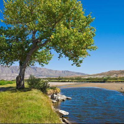 Find Scott R Phillips Phone Number, Location, Email, and more on Intelius