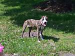 Find Sean Allen Hantz Phone Number, Location, Email, and more on Intelius