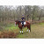 Find Shari Haskell Wescott Phone Number, Location, Email, and more on Intelius
