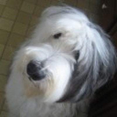 Find Sharon F Lockhart Phone Number, Location, Email, and more on Intelius