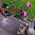 Find Sharon A Marshall Phone Number, Location, Email, and more on Intelius