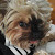 Find Sharon Elizabeth Nardello Phone Number, Location, Email, and more on Intelius