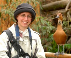 Find Sharon Frances Werth Phone Number, Location, Email, and more on Intelius