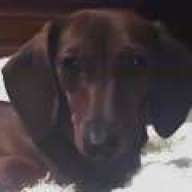 Find Sheila Marie Richter Phone Number, Location, Email, and more on Intelius