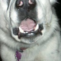 Find Sherry L Duval Phone Number, Location, Email, and more on Intelius