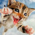 Find Sherry Ann Glover Phone Number, Location, Email, and more on Intelius
