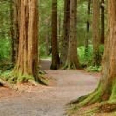 Find Sherry Lee Kammerer Phone Number, Location, Email, and more on Intelius