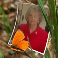 Find Shirley J Turner Phone Number, Location, Email, and more on Intelius