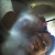 Find Siedah N Smith Phone Number, Location, Email, and more on Intelius