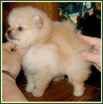 Find Sonja Sue Olson Phone Number, Location, Email, and more on Intelius