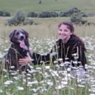 Find Sonja L Shamblin Phone Number, Location, Email, and more on Intelius