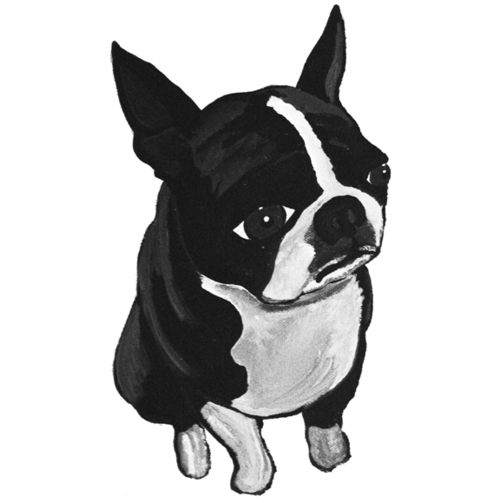 Find Stacey E Simpson Phone Number, Location, Email, and more on Intelius