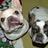 Find Stacy A Beedenbender Phone Number, Location, Email, and more on Intelius