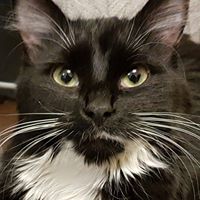 Find Stanley Frank Baker Phone Number, Location, Email, and more on Intelius