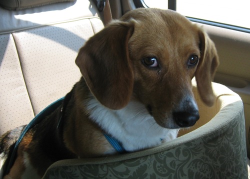Find Stanley J Budzik Phone Number, Location, Email, and more on Intelius