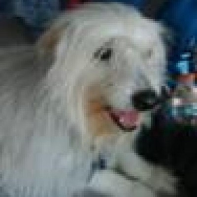 Find Stanley B Campbell Phone Number, Location, Email, and more on Intelius