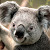 Find Stefan Johnson Phone Number, Location, Email, and more on Intelius