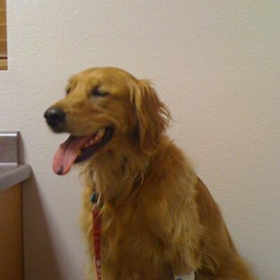 Find Stephanie M Rasor Phone Number, Location, Email, and more on Intelius