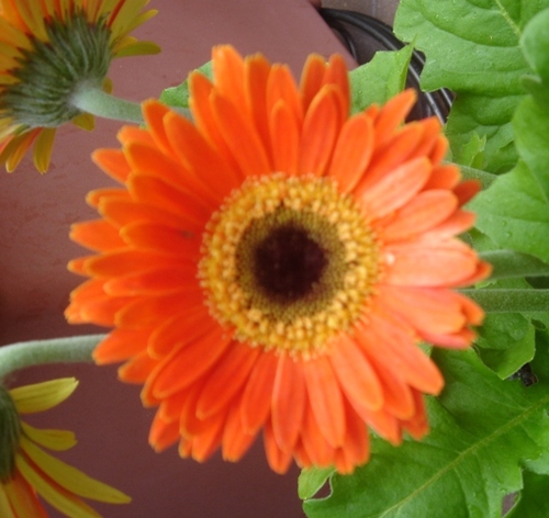 Find Stephanie Melissia White Phone Number, Location, Email, and more on Intelius