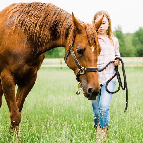 Find Stephannie Marie Ideson Phone Number, Location, Email, and more on Intelius