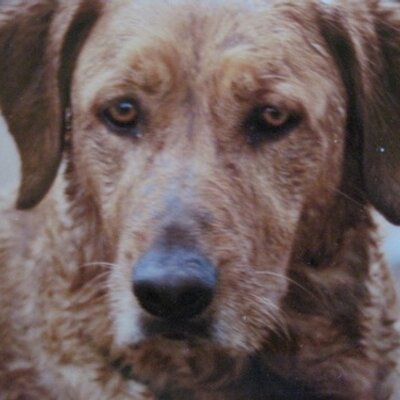 Find Stephen John Borden Phone Number, Location, Email, and more on Intelius