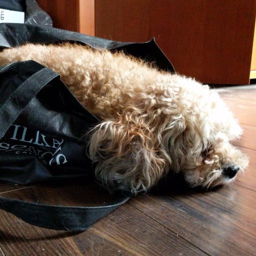 Find Stephen Philip Capper Phone Number, Location, Email, and more on Intelius