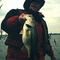 Find Stephen W Coldwell Phone Number, Location, Email, and more on Intelius