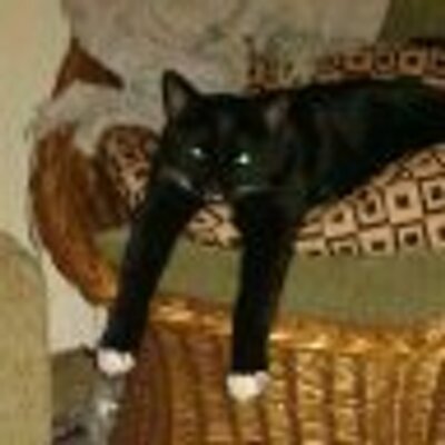Find Stephen Paul Johnson Phone Number, Location, Email, and more on Intelius