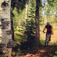 Find Stephen L Olson Phone Number, Location, Email, and more on Intelius