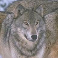 Find Steven W Berg Phone Number, Location, Email, and more on Intelius