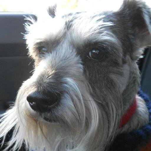 Find Steven Clay Brown Phone Number, Location, Email, and more on Intelius