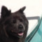 Find Steven M Forgette Phone Number, Location, Email, and more on Intelius