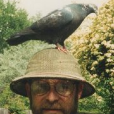 Find Steven Richard Nelson Phone Number, Location, Email, and more on Intelius