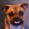 Find Stuart W Thomas Phone Number, Location, Email, and more on Intelius