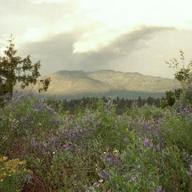 Find Susan Marie Brown Phone Number, Location, Email, and more on Intelius