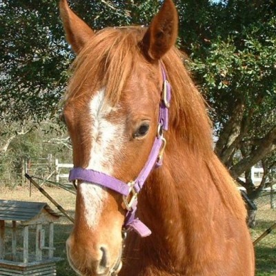 Find Susan Elaine Carroll Phone Number, Location, Email, and more on Intelius