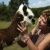 Find Susan Jessica Field Phone Number, Location, Email, and more on Intelius