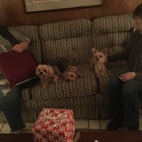 Find Susan M Fox Phone Number, Location, Email, and more on Intelius