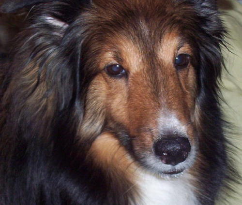 Find Susan E Gardner Phone Number, Location, Email, and more on Intelius