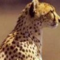 Find Susan Ann Pellot Phone Number, Location, Email, and more on Intelius
