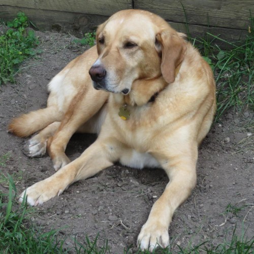 Find Susan Mary Ready Phone Number, Location, Email, and more on Intelius