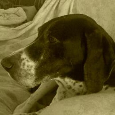 Find Susan Elaine Rees Phone Number, Location, Email, and more on Intelius