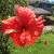 Find Suzanne E Katanic Phone Number, Location, Email, and more on Intelius
