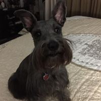 Find Suzanne Terrell Stiffelman Phone Number, Location, Email, and more on Intelius