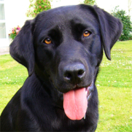 Find Sylvia A Costa Phone Number, Location, Email, and more on Intelius