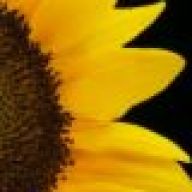 Find Sylvia Simpkins Wright Phone Number, Location, Email, and more on Intelius