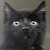 Find Tami J Downing Phone Number, Location, Email, and more on Intelius