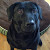 Find Tami M Jackson Phone Number, Location, Email, and more on Intelius